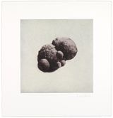 12 Objects 12 Etchings 07 by Rachel Whiteread contemporary artwork print