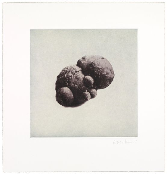 12 Objects 12 Etchings 07 by Rachel Whiteread contemporary artwork Print