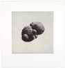 12 Objects 12 Etchings 07 by Rachel Whiteread contemporary artwork Print