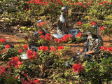 Polenphonia by Eduardo Navarro contemporary artwork sculpture