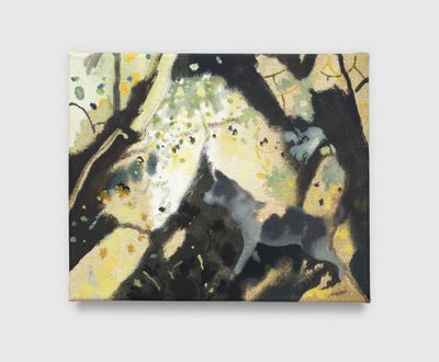 Chris Huen Sin-kan Finds Magic in the Mundane