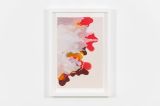 Terra Rouge CEW S2 by Tiffany Chung contemporary artwork works on paper