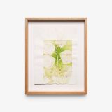 INVASIVE X by Tue Greenfort contemporary artwork print works on paper
