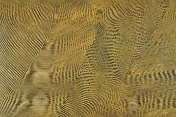 Warlimpirrnga Tjapaltjarri contemporary artist