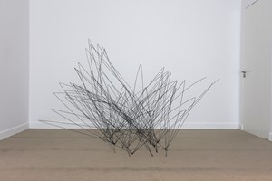 Feng Chen
