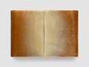 Laboratory 01 Remake by Edith Dekyndt contemporary artwork Textile