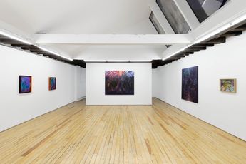 Contemporary art exhibition Nianxin Li Neon Haze at Uffner  Liu New York United States