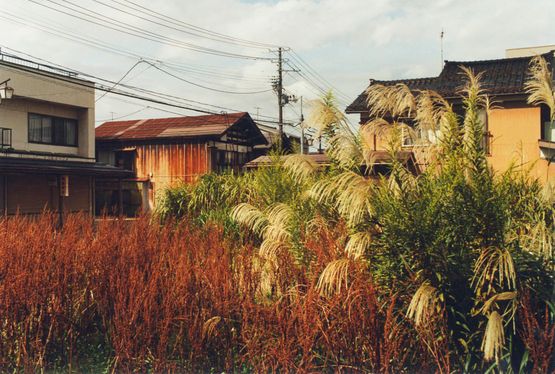 Niigata Nagaoka 2 by Koji Onaka contemporary artwork Photography