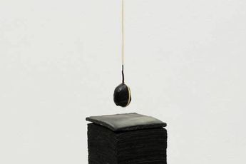 Paloma Bosque contemporary artist