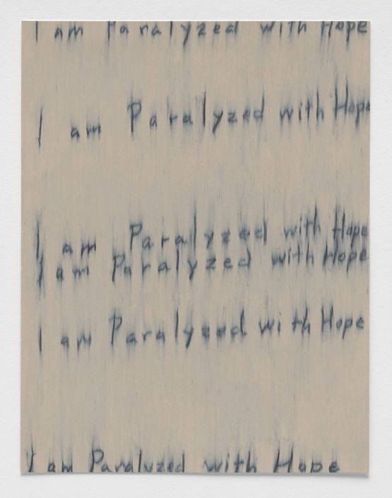 Seizure of Hope 40 by Roni Horn contemporary artwork Works on Paper
