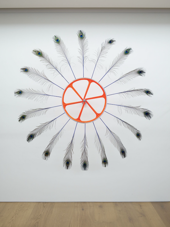 It was my choice by Paola Pivi contemporary artwork Mixed Media