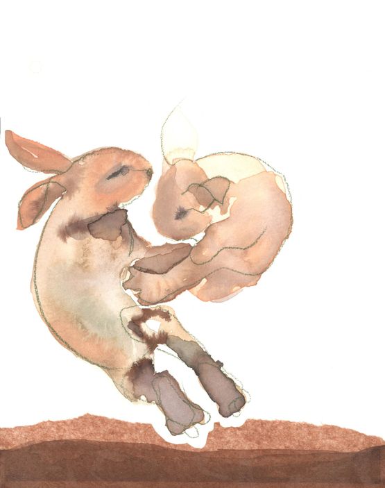 Bunnies of Okunoshima by Bianca Kennedy contemporary artwork Painting