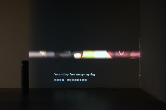 Dog by Lee Kit contemporary artwork Moving Image