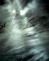 Blizzard from the Quiet Dissolution Series by Sonja Braas contemporary artwork photography print