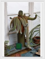 My 25 Year Old Cactus by Wolfgang Tillmans contemporary artwork photography print