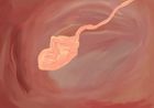 The Womb by Tala Madani contemporary artwork Moving Image