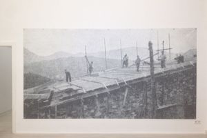 Luca Lee Frei