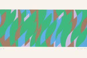 Bridget Riley
