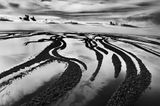 The backwater of the Rio Negro Anavilhanas National Park state of Amazonas Brazil by Sebastiao Salgado contemporary artwork photography