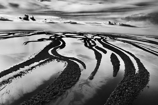 The backwater of the Rio Negro Anavilhanas National Park state of Amazonas Brazil by Sebastiao Salgado contemporary artwork Photography