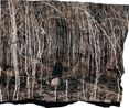 Manifest XIII by Tenzing Dakpa contemporary artwork Photography
