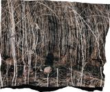 Manifest XIII by Tenzing Dakpa contemporary artwork photography