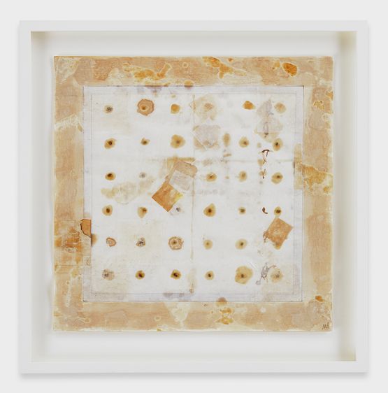 Seed Calendar One Month Five Days in Bali Java and Sulewesi by Michelle Stuart contemporary artwork Painting