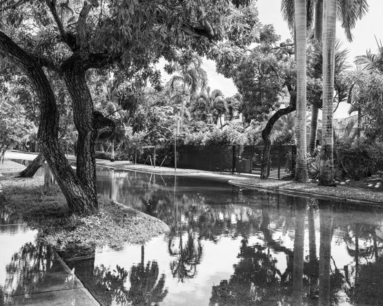 King Tide South Beach by Anastasia Samoylova contemporary artwork Photography
