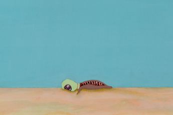 Laylah Ali contemporary artist