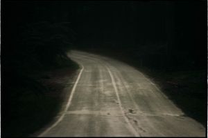 Bill Henson