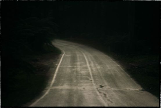 Untitled by Bill Henson contemporary artwork Photography
