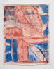 Untitled by Vivian Suter contemporary artwork Painting