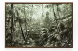 Viagem Pitoresca pelo Brasil  37 by Cassio Vasconcellos contemporary artwork print