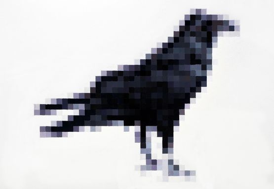 Common Raven by Marcus Coates contemporary artwork Painting