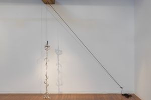Caroline Rothwell