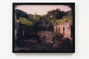 Mark Adams