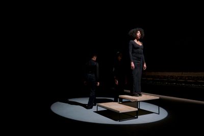 South Africas Future at Venice Biennale Uncertain Amid Censorship Row