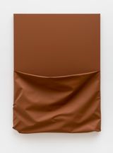 Canguru Kangaroo da serie from the series Plastic paintings by Estela Sokol contemporary artwork painting