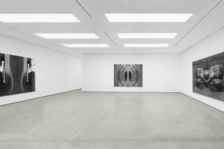 Contemporary art exhibition Yunyao Zhang When the Surface Thinks at White Cube Hong Kong