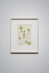 FAIRNESS by Charlotte Zinsser contemporary artwork drawing painting works on paper