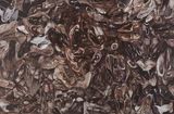 Room 502 No.141209 502  No.141209 by Chen Yujun contemporary artwork painting