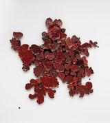 Liquen vermelho III Red Lichen III by Leo Battistelli contemporary artwork painting