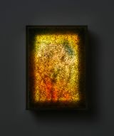 Be  by Jane Lee contemporary artwork sculpture