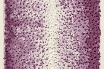 Young-Woo Kwon contemporary artist