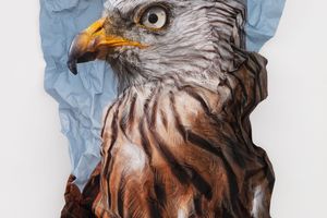 Marcus Coates