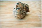 Sans titre by Kiki Smith contemporary artwork Print