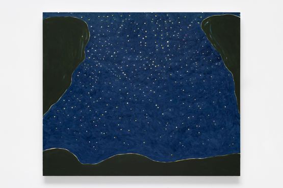 Ceu estrelado do Una  The Starry Sky of Una by Patricia Leite contemporary artwork Painting