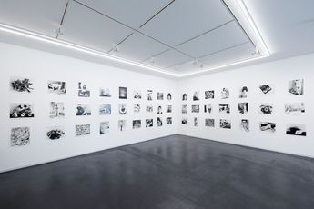 Contemporary art exhibition Nobuyoshi Araki Love-Dream Love-Nothing at Taka Ishii Gallery Complex665 Tokyo Japan
