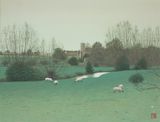 Balford by Kazuyuki Futagawa contemporary artwork painting