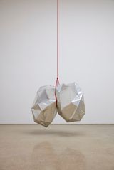 Flesh in the Age of Reason by Toby Ziegler contemporary artwork installation